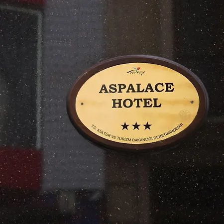 Aspalace Hotel The Istanbul Old City-2