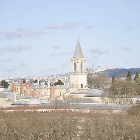 Le Safran Palace-2