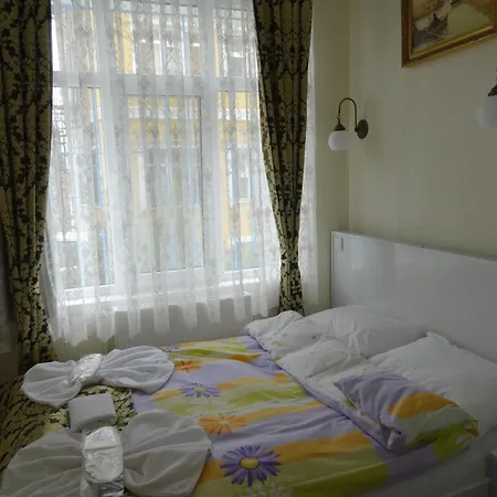 Tulip Guesthouse-2