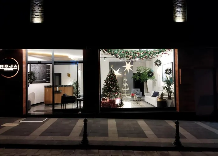 Moja City Hotel Istambul acceptant les animaux
