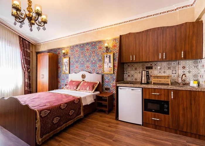 Aparthotel The First Ottoman Dream à Istambul acceptant les animaux