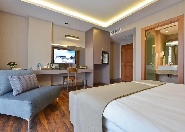 Huisdiervriedelijke Blueway Hotel City Istanboel