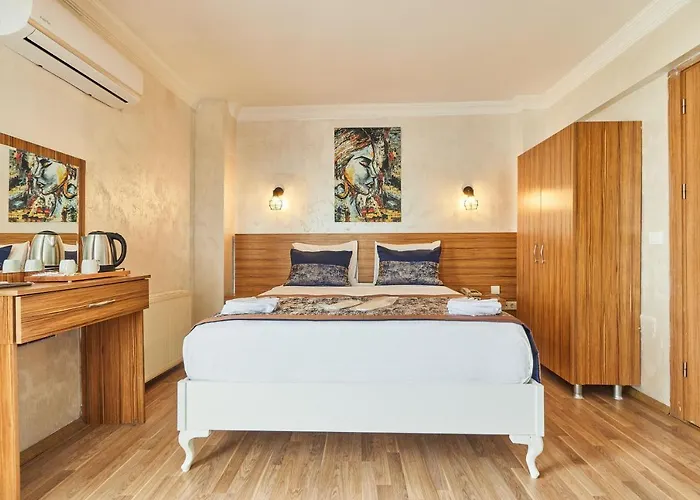 Huisdiervriedelijke Armar Hotel Istanboel