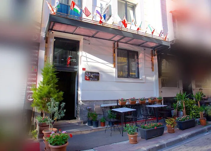 Almina Inn Hotel Istambul acceptant les animaux