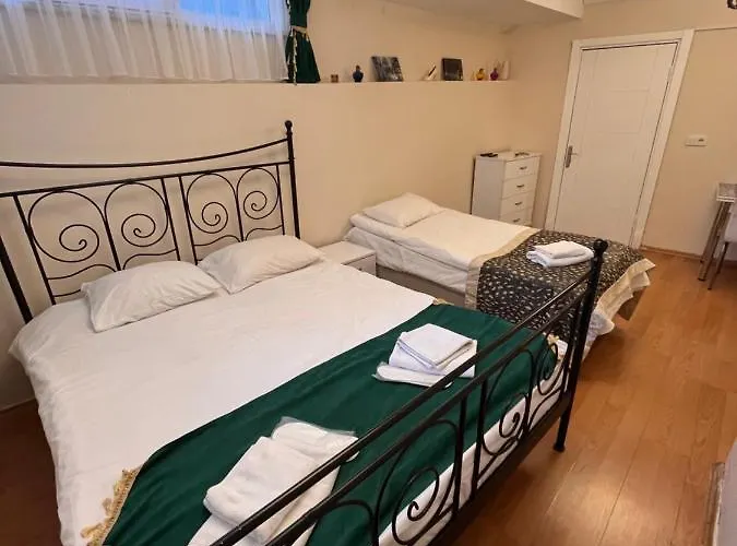 Stone Garden Apart Estambul admite animales