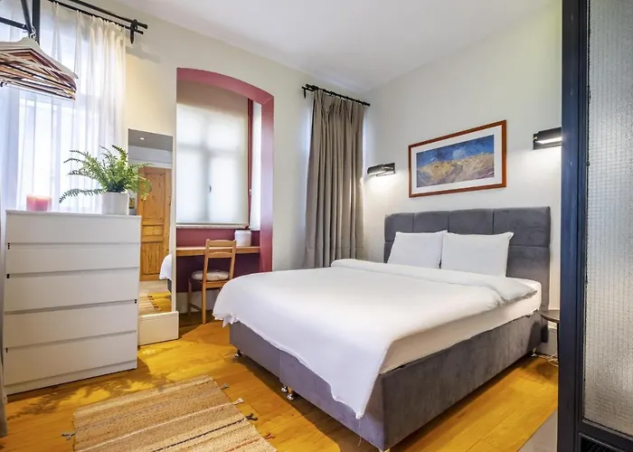 Dreamy And Central Flat In Beyoglu Estambul admite animales
