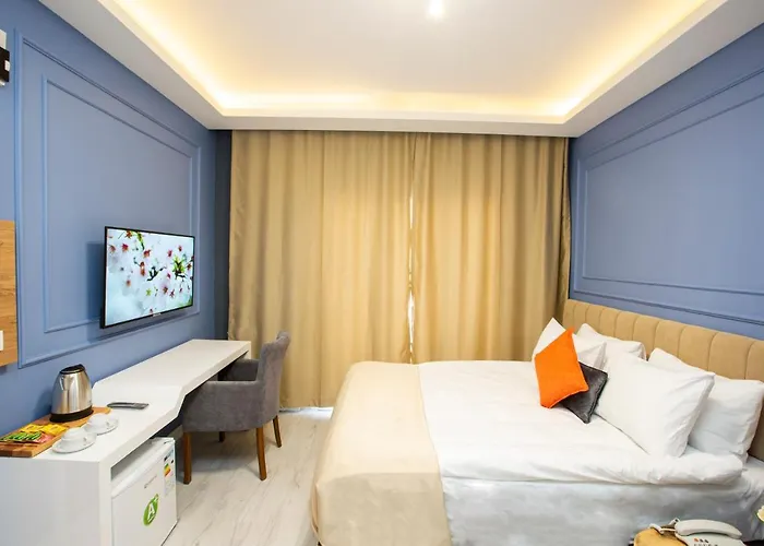 Taksim Square Leon'S Hotel Istambul acceptant les animaux