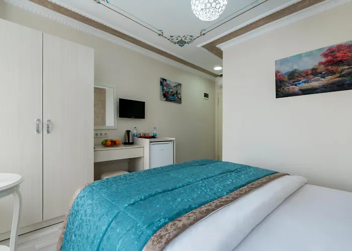 Atam Hotel Istambul acceptant les animaux