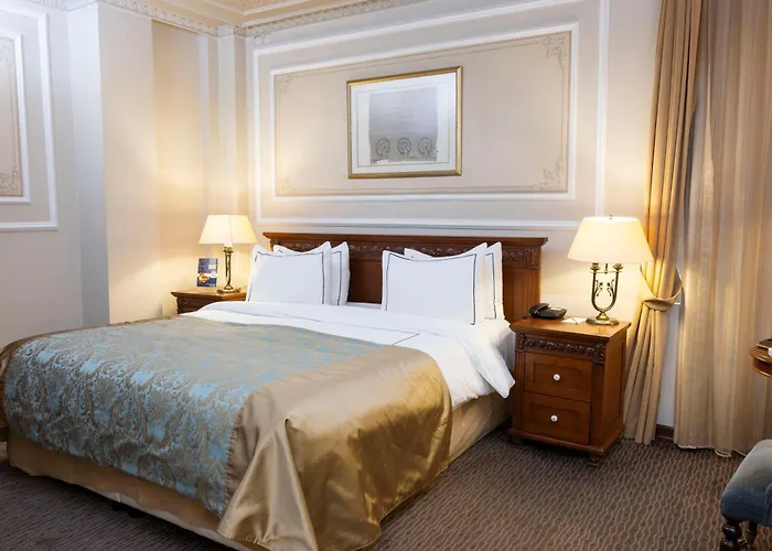 Anemon Koleksiyon Galata Otel Estambul admite animales