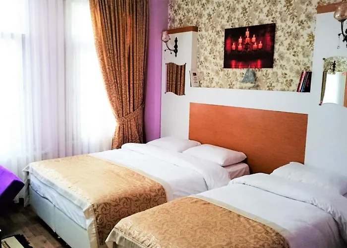 Aparthotel Grafen Travel Estambul admite animales