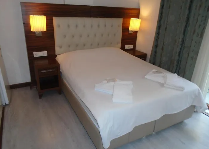 City House Istambul acceptant les animaux