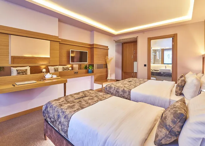 Atro Hotel Istambul acceptant les animaux