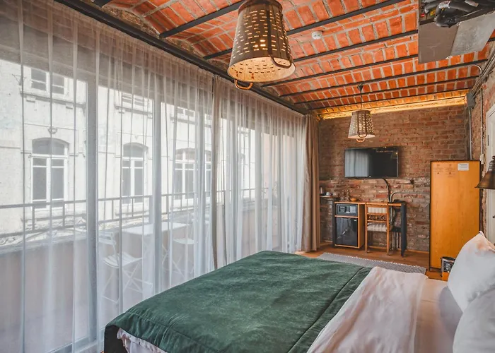 Novus Pera Hotel Estambul admite animales