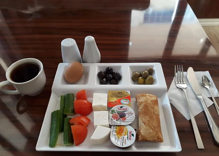 Sahra Airport Hotel Istambul acceptant les animaux