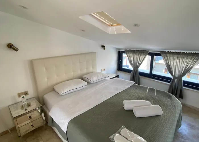 Ab Residences-Cihangir Luxury Diamond Apartment Istambul acceptant les animaux
