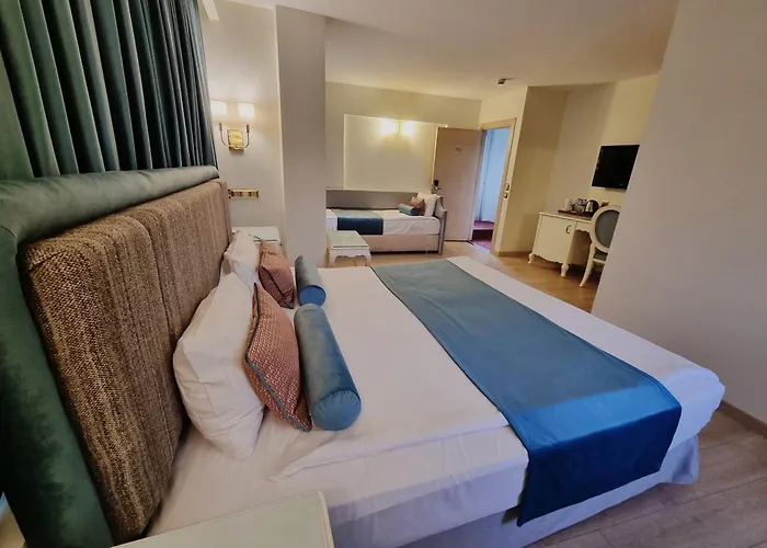 Taximtown Hotel Istambul acceptant les animaux