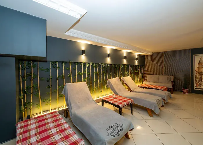 Byzantium Comfort Hotel Istambul acceptant les animaux