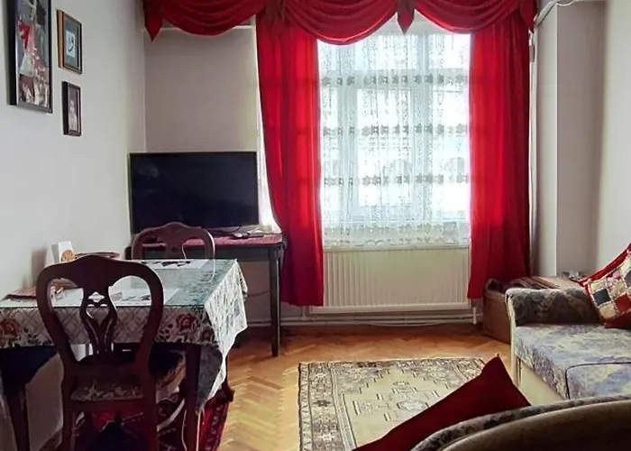 Nur Home 2 Estambul admite animales