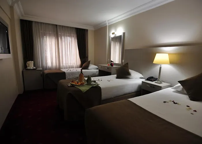 Hotel Buyuk Sahinler Istanboel