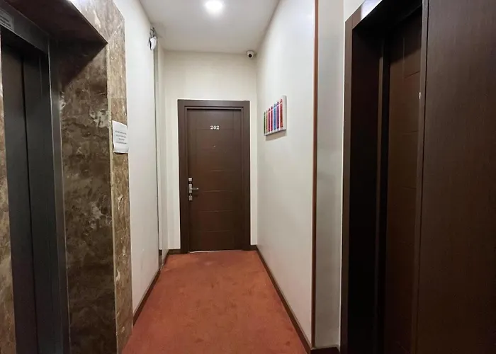 Huisdiervriedelijke Taksim Cihangir Fidan Residence Hotel Istanboel