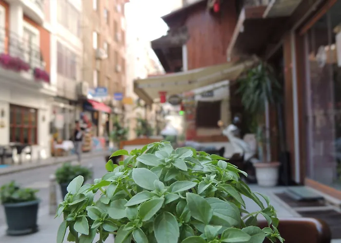 Huisdiervriedelijke Sirkeci Quietness Hotel Istanboel
