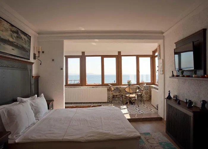 Huisdiervriedelijke Ottomarin Hotel Old City Istanboel