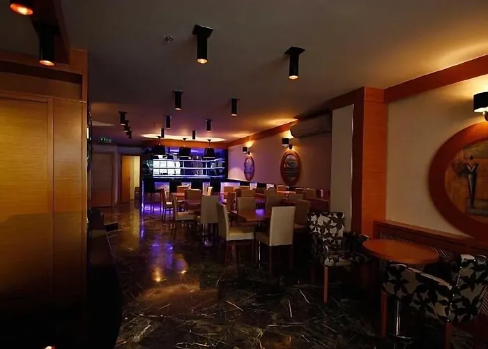 Huisdiervriedelijke Hotel La Piano Istanboel