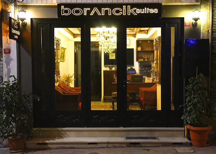 Borancik Hotel Estambul