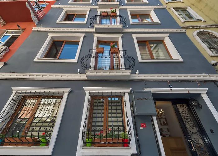 Cirrus Suites Tomtom Estambul admite animales