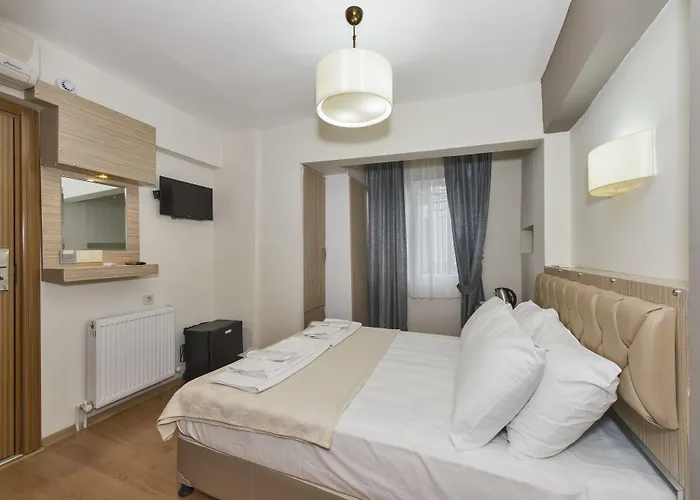 Metrolux Hotel Estambul admite animales