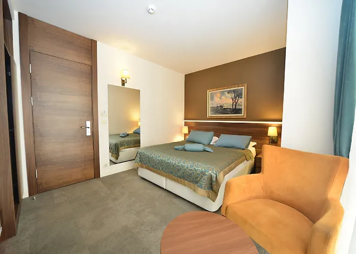 Hotel Le Maritime Estambul admite animales
