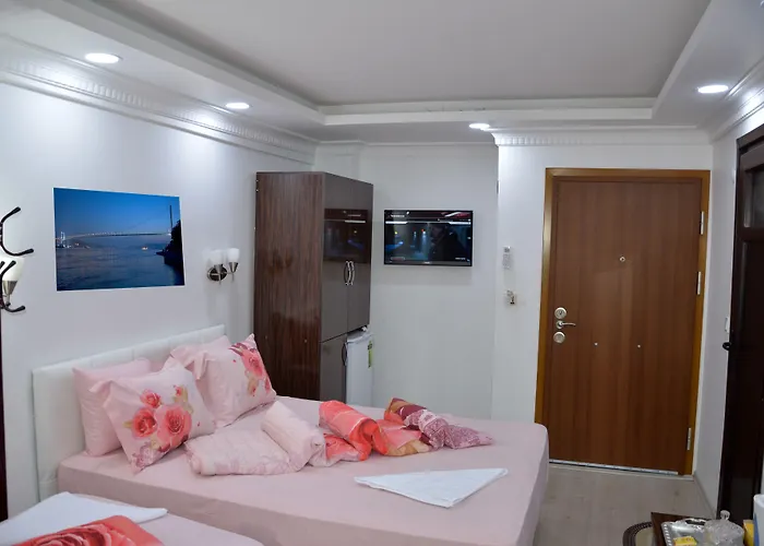 Huisdiervriedelijke Sultanahmet Deluxe Hotel Istanboel