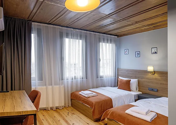 Huisdiervriedelijke Roco Beyoglu Hotel Istanboel