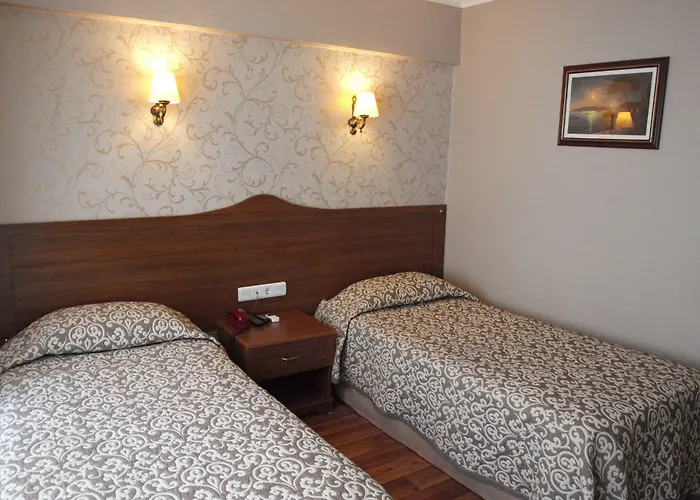 Hotel Nezih Estambul