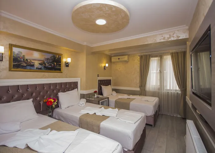 Hotel Bestur Estambul admite animales