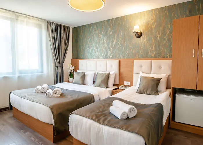 The Camelot Hotel Istambul acceptant les animaux