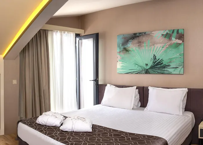 Elm Suite Hotel Estambul admite animales