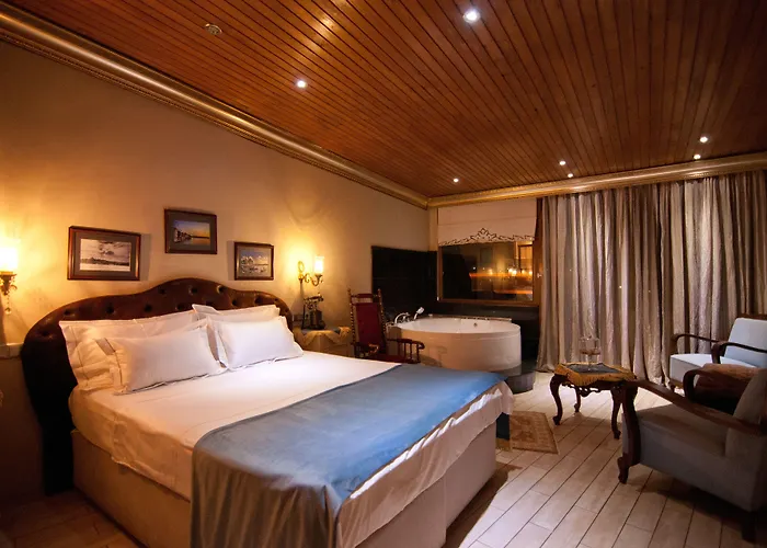Huisdiervriedelijke Blue Tuana Suite Istanboel