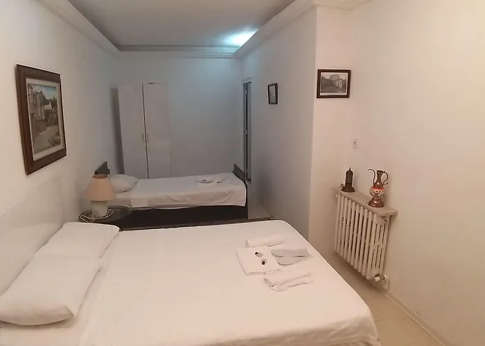 Goerkemli Hotel Istambul acceptant les animaux