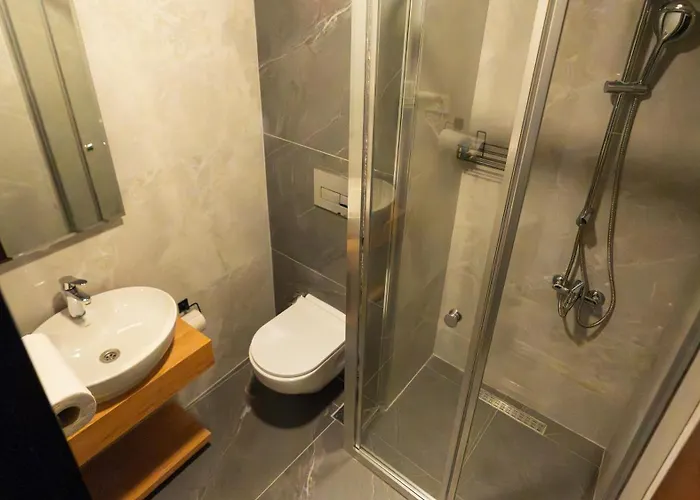 Diana Hotel Istambul acceptant les animaux