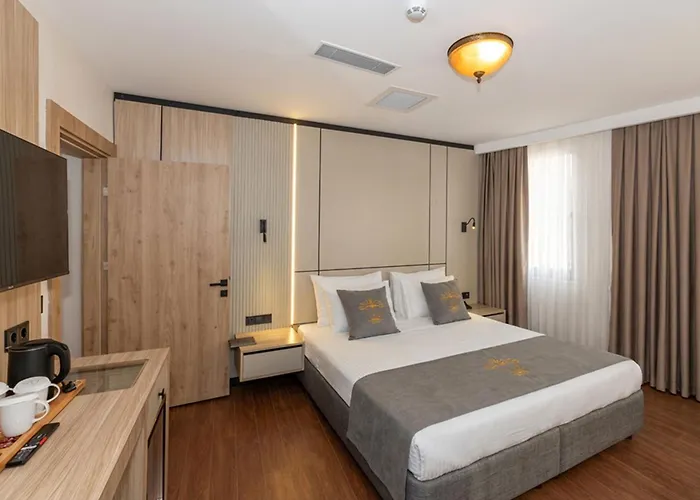 Huisdiervriedelijke Yez Boutique Hotel Taksim Istanboel