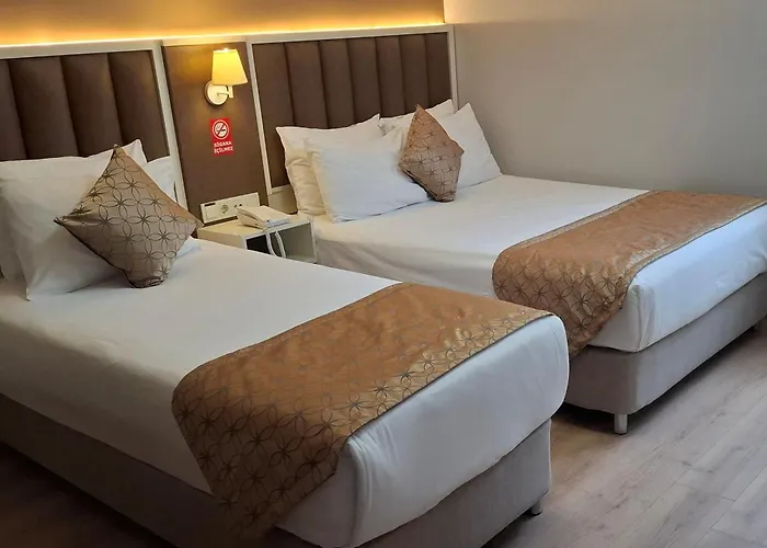Hotel Süreyya Estambul admite animales
