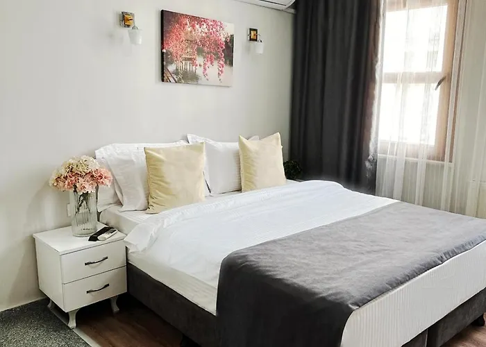 Antik Ipek Hotel Estambul admite animales