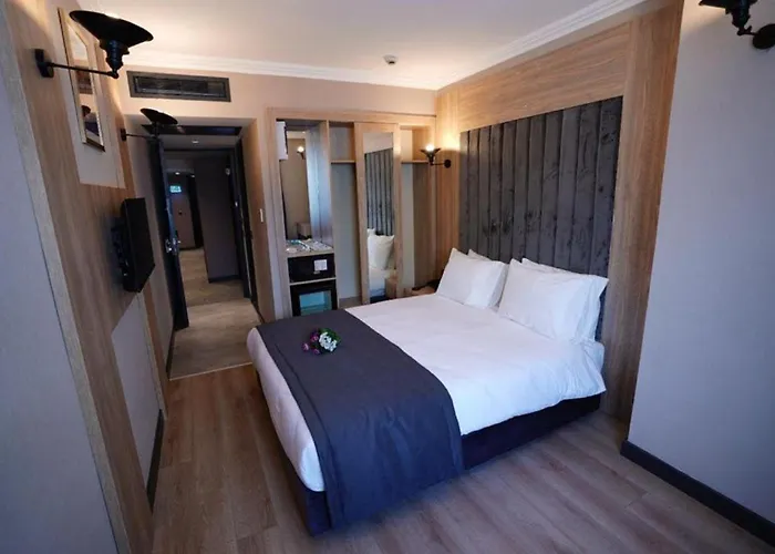 Mineo Hotel Taksim Estambul admite animales