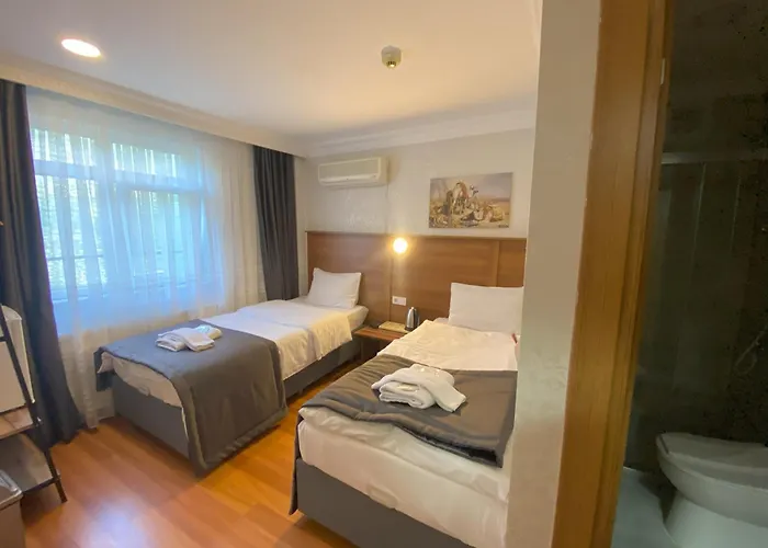 Timeks Suite Sultanahmet Estambul admite animales