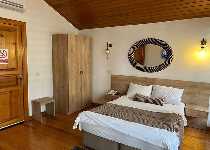 Huisdiervriedelijke Belizia Hotel Istanboel