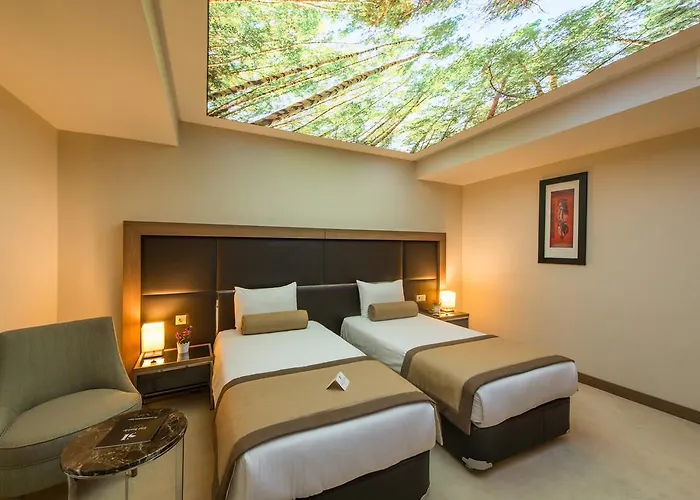 Huisdiervriedelijke Inside Hotel Sisli Istanboel