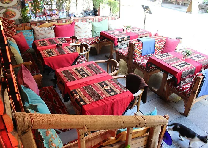 Nar Sultan Hotel & Aparts Estambul admite animales