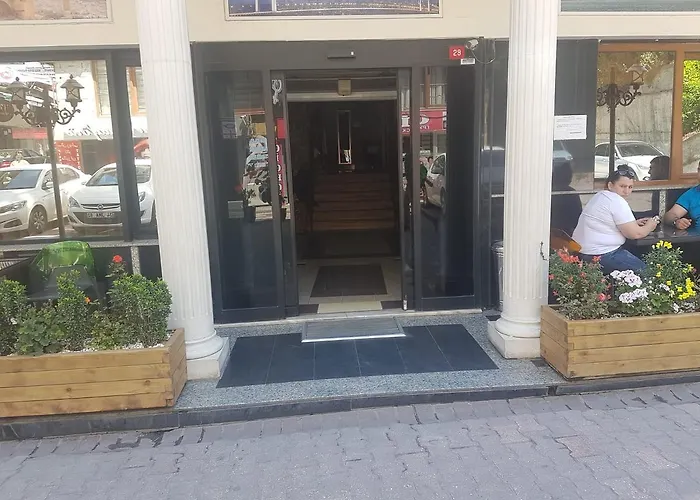 Hotel Rouge Noire Istambul acceptant les animaux