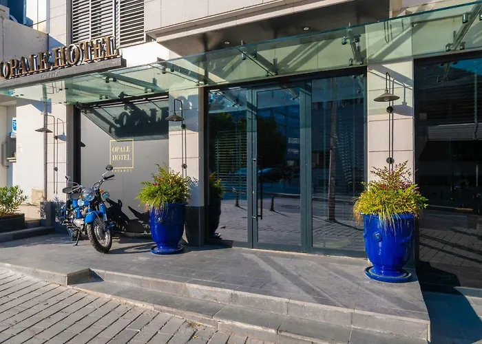 Opale Hotel Estambul admite animales